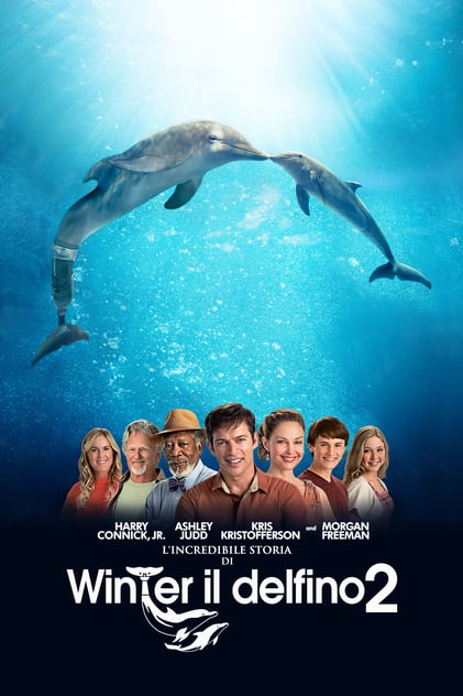 L'incredibile storia di Winter il delfino 2