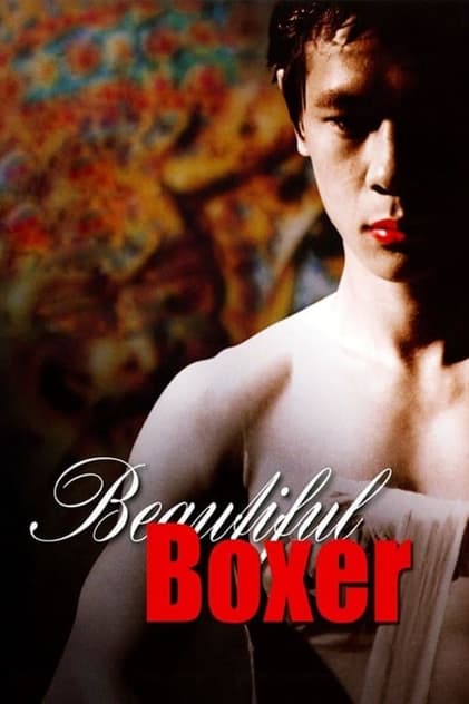 Beautiful Boxer Beautiful Boxer