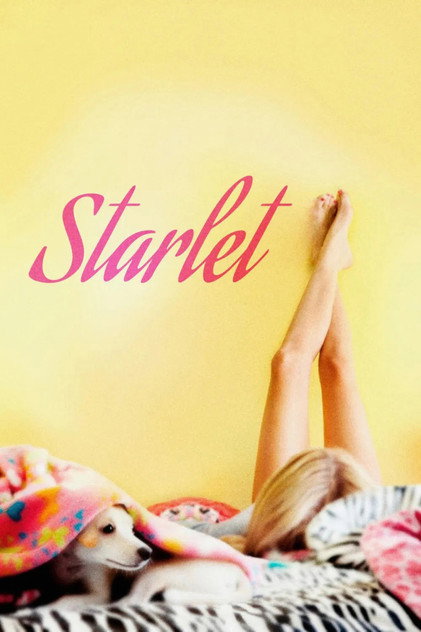 Starlet Starlet
