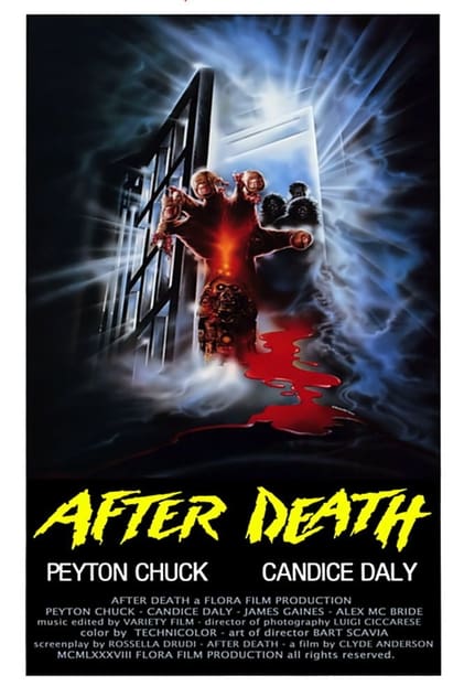Zombi 4: After Death