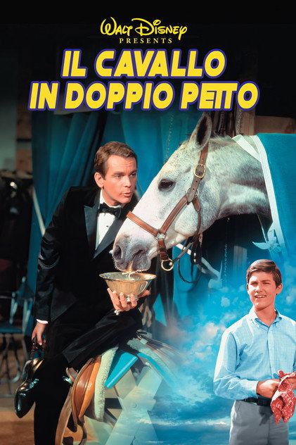 Il cavallo in doppiopetto Il cavallo in doppiopetto