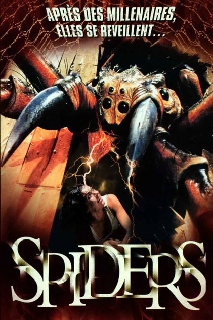 Spiders Spiders