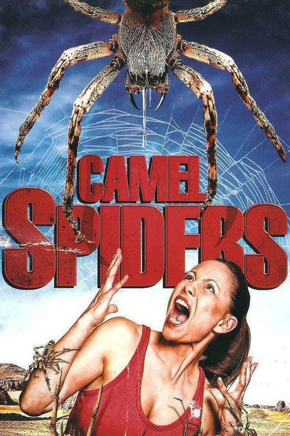 Camel Spiders Camel Spiders