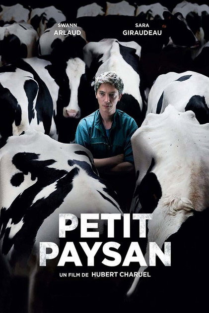 Petit Paysan Petit Paysan