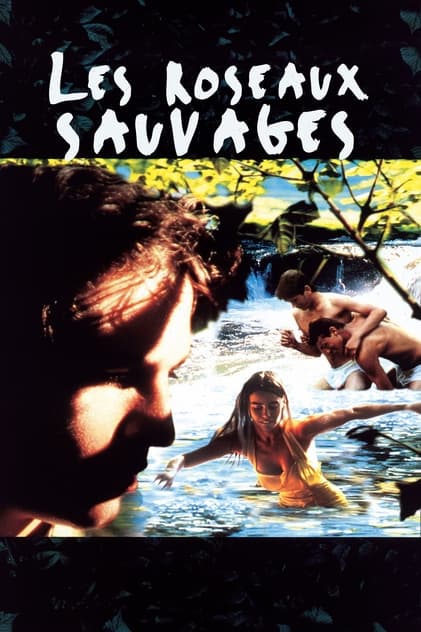 Les Roseaux sauvages Les Roseaux sauvages