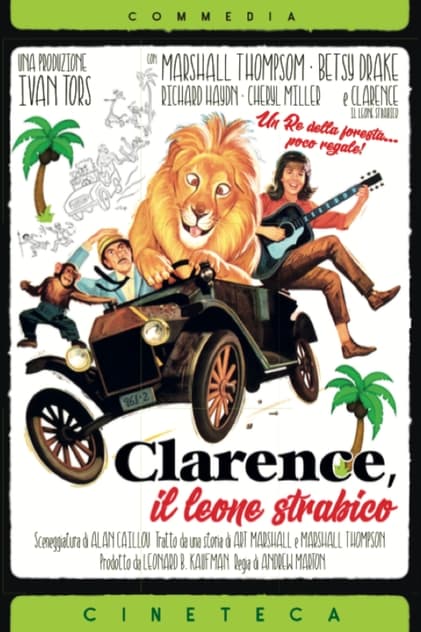 Clarence, il leone strabico