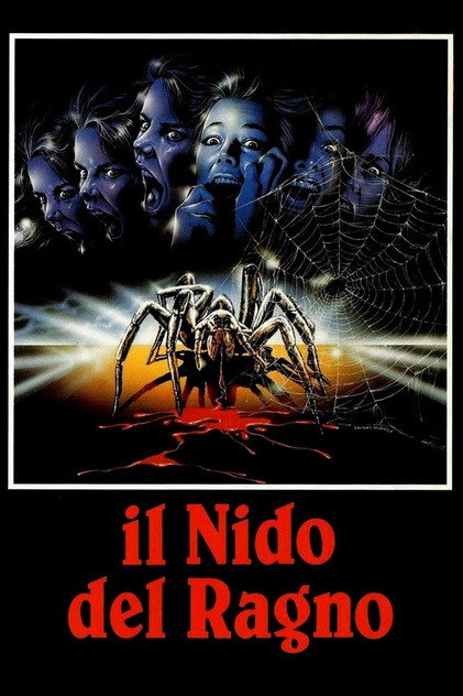 Spider Labyrinth Spider Labyrinth