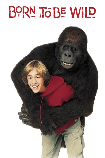 Una gorilla per amica
