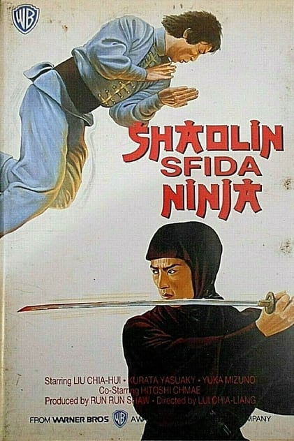 Shaolin sfida ninja