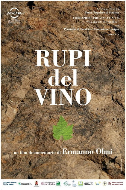 Rupi del vino Rupi del vino