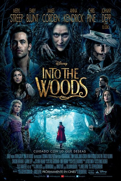 Into the Woods Into the Woods