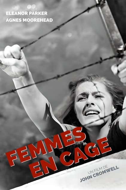 Femmes en cage Femmes en cage