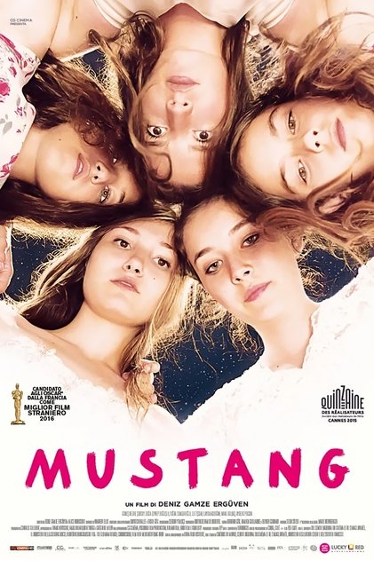 Mustang Mustang