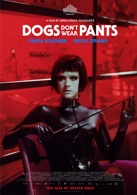Les chiens ne portent pas de pantalon