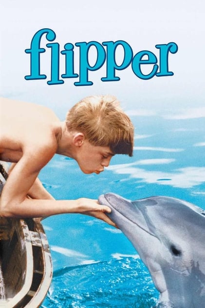 Mi amigo Flipper