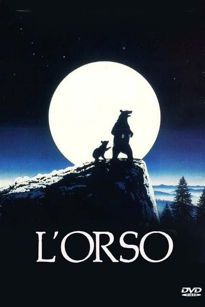 L'orso L'orso