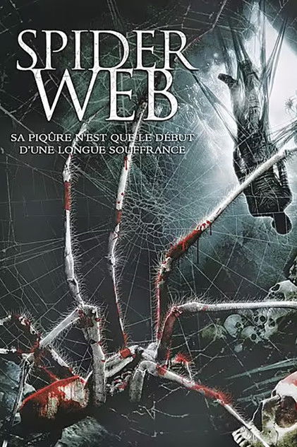 Spider Web Spider Web