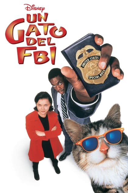 Un gato del FBI