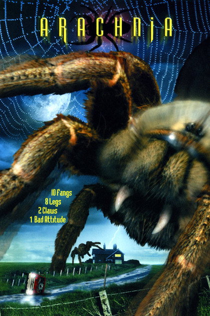 Arachnia Arachnia